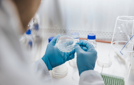 Nguy cơ từ loại nấm mốc siêu kháng thuốc có thể lây nhiễm cho hàng triệu người