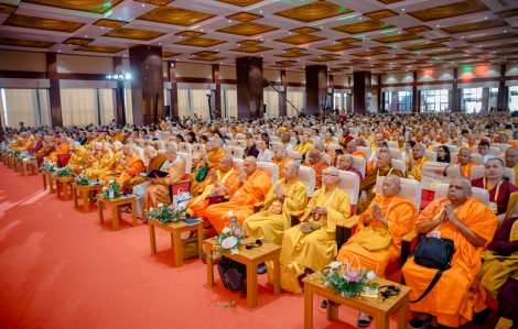 Tuệ giác Phật giáo vì hòa bình thế giới và phát triển bền vững