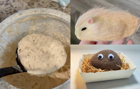 Giới trẻ Trung Quốc hết ‘nuôi’ hột xoài lại đến nấm men, kem đánh răng