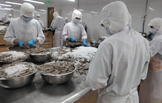 Chuyên gia hiến kế cách “mở khóa” thị trường Mỹ
