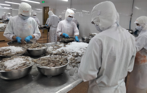 Chuyên gia hiến kế cách “mở khóa” thị trường Mỹ
