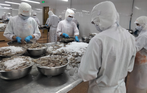 Chuyên gia hiến kế cách “mở khóa” thị trường Mỹ