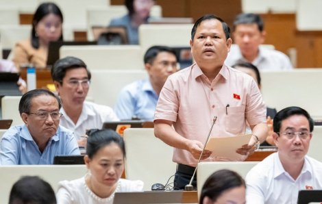 Lơ là hậu kiểm, người tiêu dùng bị đánh lừa bởi “sản phẩm đã được chứng nhận”