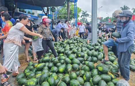 Người dân chung tay giải cứu hàng tấn dưa hấu vương vãi khắp đường sau tai nạn