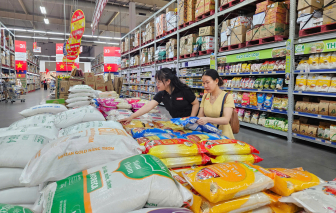 Giá gạo đặc sản giảm mạnh, có loại giảm 22.000 đồng/kg