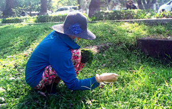 Nghị lực mẹ đơn thân
