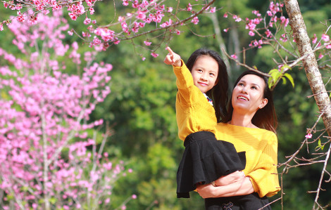 Có phải mẹ ghét cháu?