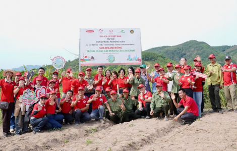 Dai-ichi Life Việt Nam triển khai trồng hơn 10.000 cây xanh tại Rừng phòng hộ Đồng Xuân, tỉnh Phú Yên