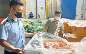 Nội tạng đông lạnh “trôi nổi” tràn lan trên thị trường
