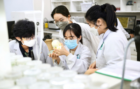 Không để cơ chế “chấp nhận rủi ro” trong nghiên cứu khoa học bị lợi dụng