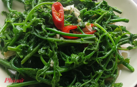 Rau dớn, món quà xanh từ núi rừng