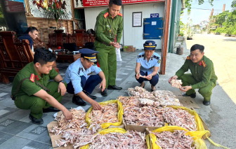 Nghệ An: Phát hiện hàng tấn đường lậu, chân gà không rõ nguồn gốc