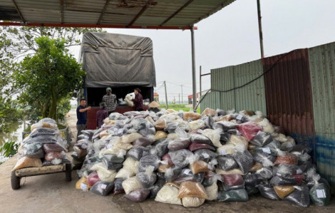 Cần xử lý nghiêm những kẻ tiếp tay làm hại thị trường nội địa