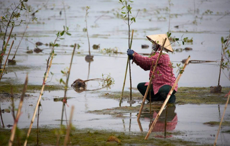 Tăng cường năng lực cho phụ nữ Huế trong thích ứng với biến đổi khí hậu