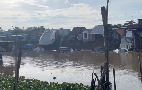 Bất ngờ sạt lở, 10 căn nhà ở An Giang rơi xuống sông