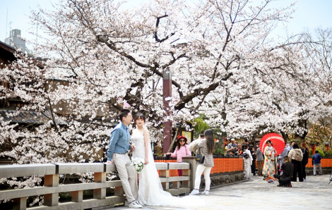 Giá cả leo thang, du khách nản lòng