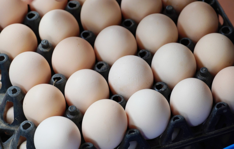 Đề nghị 4 bộ vào cuộc sau thông tin trứng gà giả ở Việt Nam