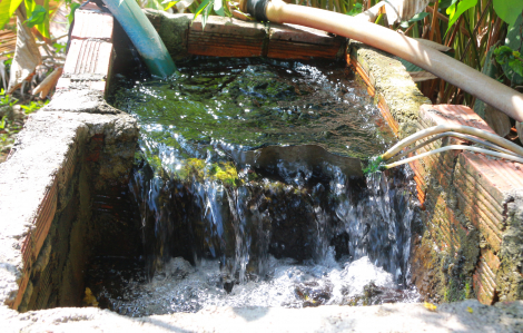 Bí ẩn những giếng nước tự phun trào tại một vùng quê ở Tây Nguyên