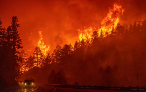 Cháy rừng phá hủy gần 750.000 ha đất ở Mông Cổ