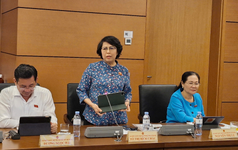 Đại biểu Quốc hội: Hại cả thế hệ bằng sữa giả, thuốc dỏm, có nên bỏ án tử hình?