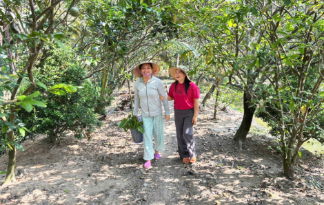 Ngon quá chừng nồi canh chua cá nhét!