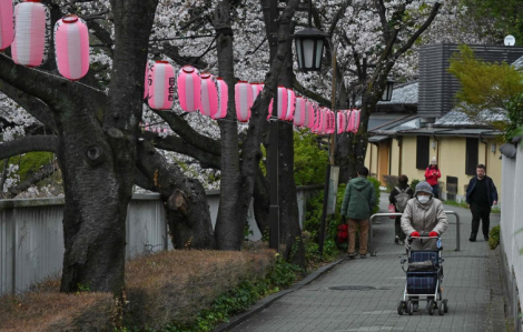 Nhiều người giàu có Nhật Bản không con quyên tiền làm từ thiện