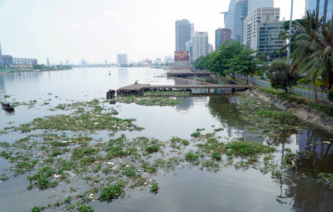 Sở Xây dựng TPHCM kiến nghị ban hành đơn giá dự toán vớt rác trên sông, kênh rạch
