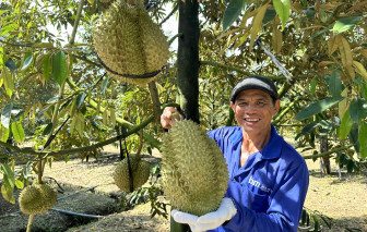 Trung Quốc phê duyệt thêm gần 1.000 mã vùng trồng, cơ sở đóng gói sầu riêng của Việt Nam