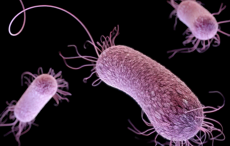 Phát hiện siêu vi khuẩn có thể phát triển trong môi trường vô trùng