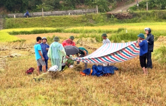 Người đàn ông bị sét đánh tử vong khi đang gặt lúa ngoài ruộng