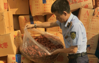 Thu giữ hơn 4 tấn táo đỏ nhập lậu