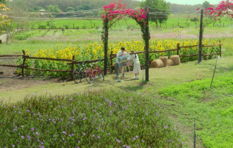 Bao giờ phim truyền hình Việt trở thành cầu nối cho cảm xúc và du lịch?