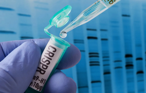 Mỹ nghiên cứu liệu pháp tế bào gốc để điều trị bệnh Alzheimer