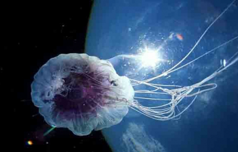 Ôm "vật thể lạ" trong suốt, 2 tay của bé gái tổn thương nặng nề