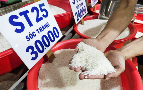 Không có gạo giả, chỉ có gạo giả nhãn hiệu