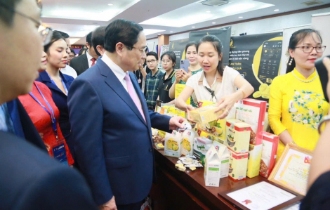 Tình yêu thương gia đình dẫn lối thành công