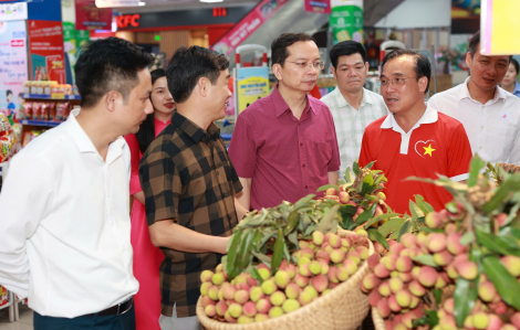 Vải thiều Lục Ngạn lên kệ hơn 800 điểm bán của Saigon Co.op