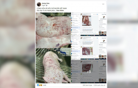 C.P. Việt Nam lên tiếng khi bị tố đưa thịt heo, gà bẩn, bệnh ra thị trường