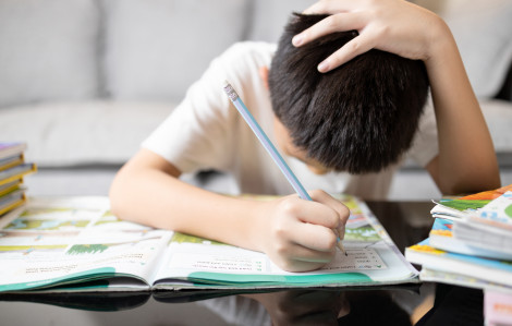 Mùa thi nên bồi bổ gì cho sĩ tử?