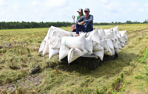 Doanh nghiệp Việt bàn cách tự lực