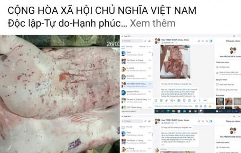 Làm rõ thông tin tuồn thịt heo bẩn ra thị trường ở Sóc Trăng