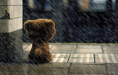 Cơn mưa đầu mùa