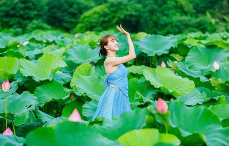 Giới trẻ Hà Nội háo hức săn ảnh hoa sen đầu mùa