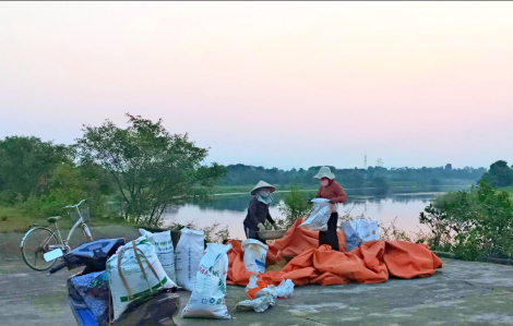 Phơi lúa bên sông