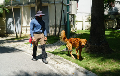 Dắt chó đi dạo: Nghề thú vị của chàng trai ngoại quốc tại Hà Nội