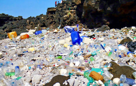 Không chỉ nói “không” với nhựa, phải hành động