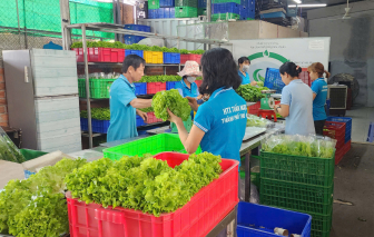 Người tiêu dùng muốn sản phẩm xanh, sạch nhưng ngại chi tiền nhiều hơn
