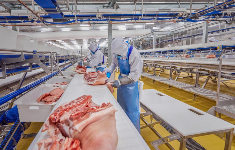 Có phải thịt ở ngăn mát gọi là thịt mát?