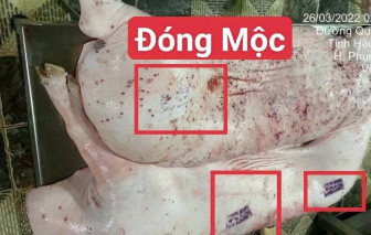 Đã xác định được người đóng dấu kiểm dịch lên heo bệnh của C.P. Việt Nam