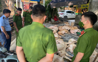 Siết quản lý giết mổ sau loạt vụ heo bệnh, heo chết tuồn ra thị trường